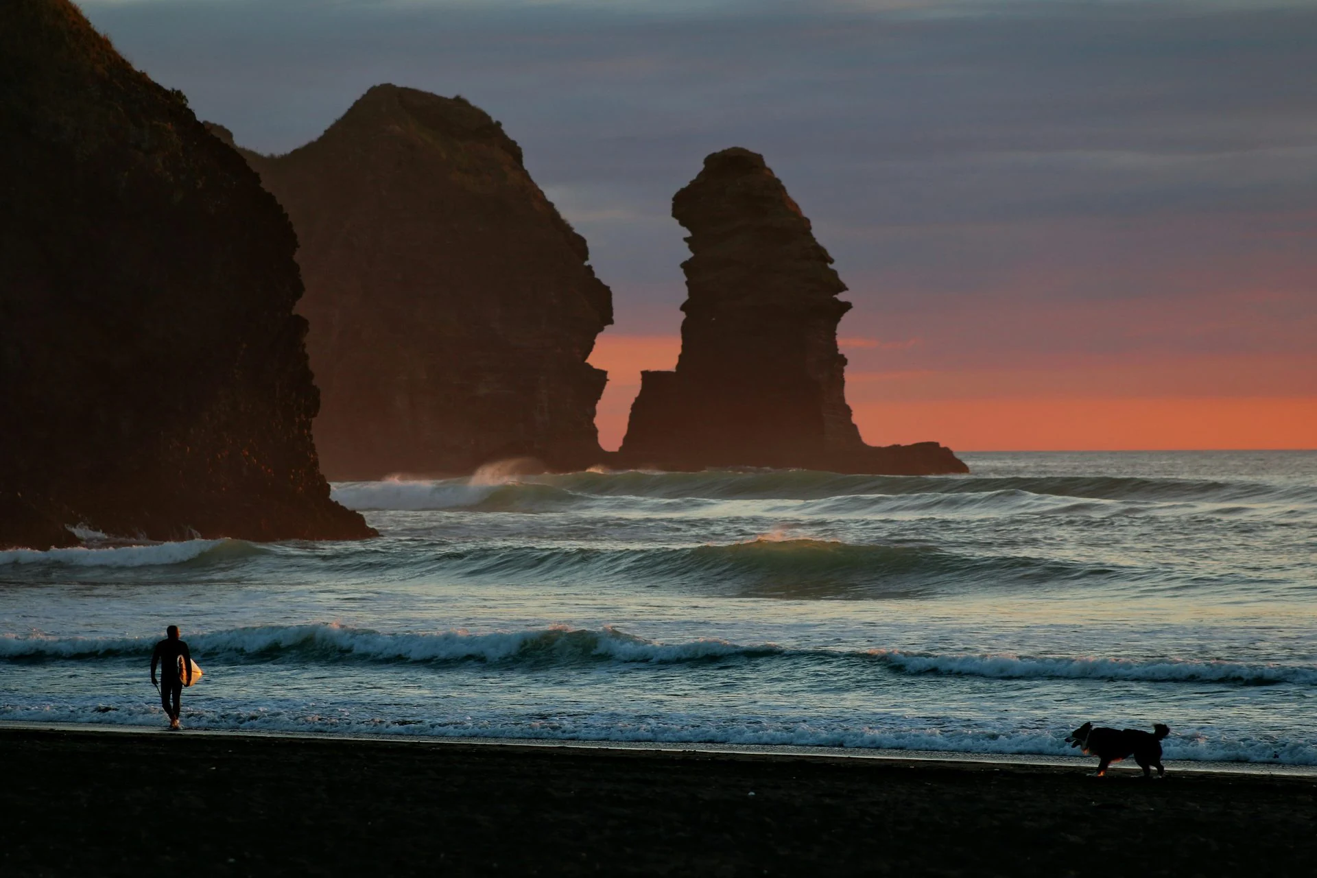 West Auckland black-sand beach and coastal cliffs